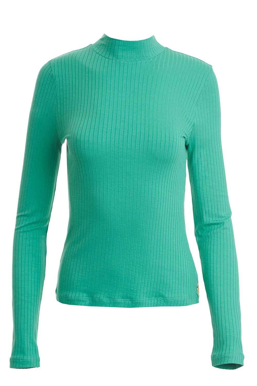 ΜΑΚΡΥΜΑΝΙΚΗ ΕΛΑΣΤΙΚΗ ΜΠΛΟΥΖΑ φωτογραφία