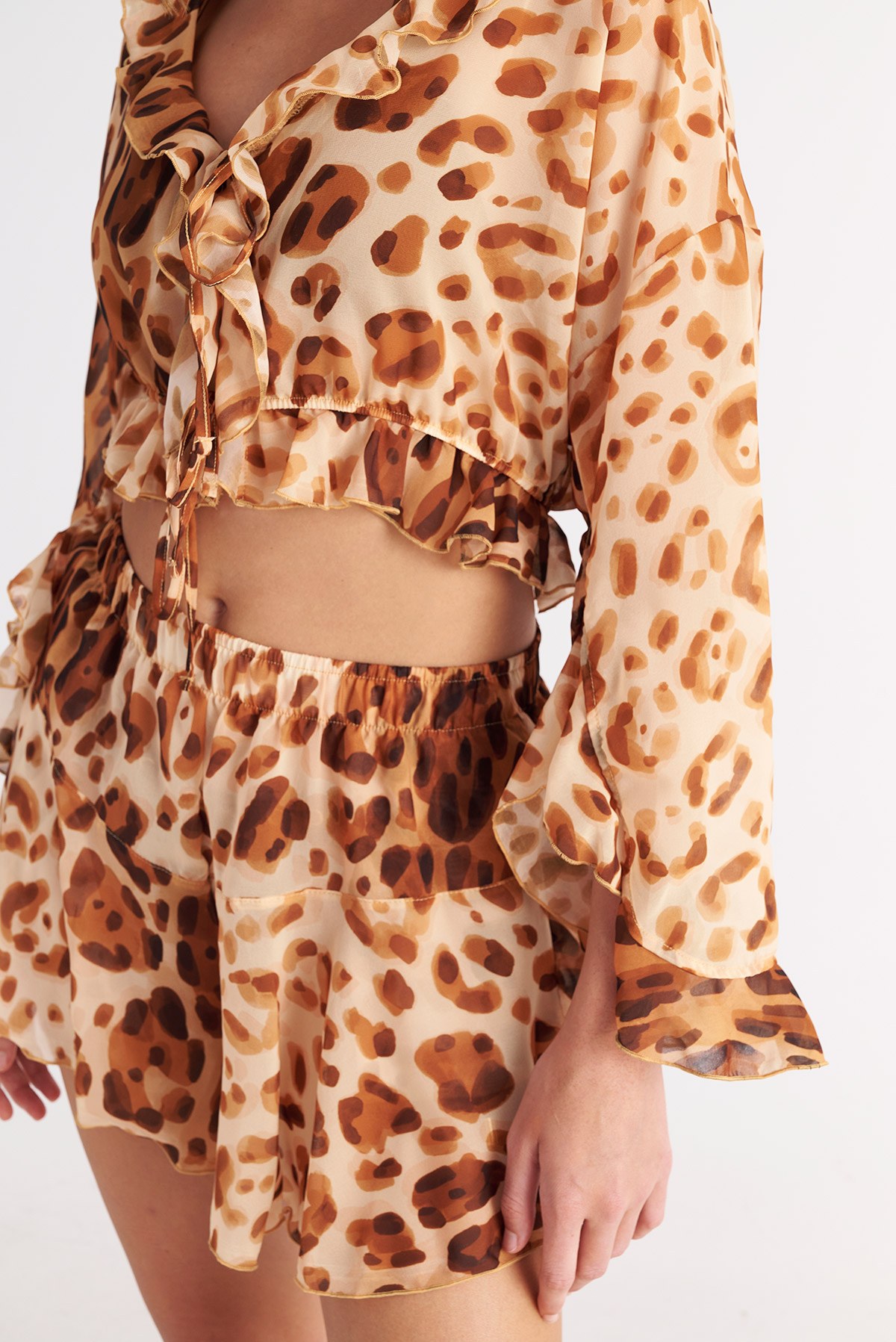 ΗΜΙΔΙΑΦΑΝΟ ΣΟΡΤΣ ΜΕ ΛΕΟΠΑΡ ΤΥΠΩΜΑ φωτογραφία