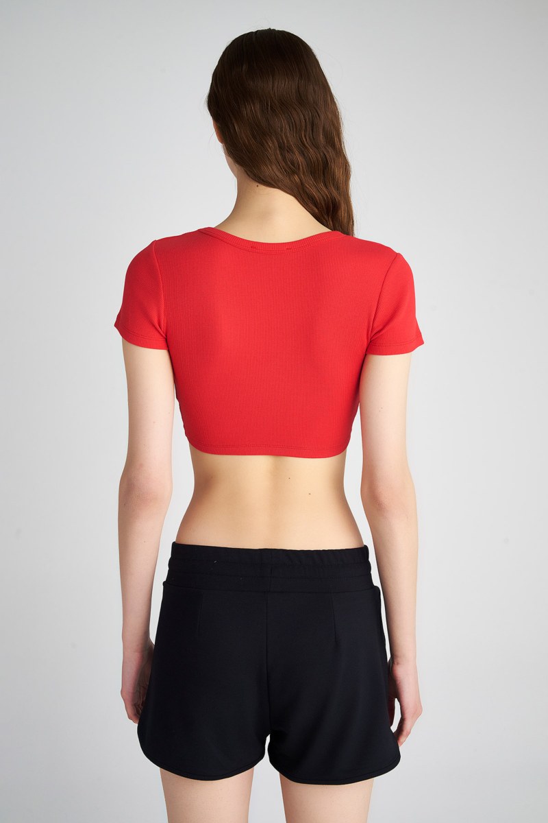 COTTON CROPPED SHORT SLEEVE RIBBED TOP-23818142-631