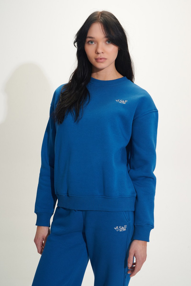 PRINTED COTTON OVERSIZED SWEATSHIRT-24832251-440