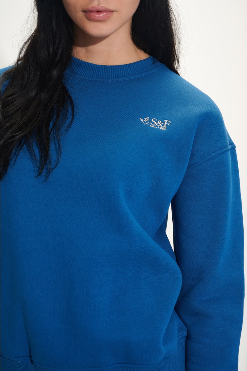 PRINTED COTTON OVERSIZED SWEATSHIRT-24832251-440