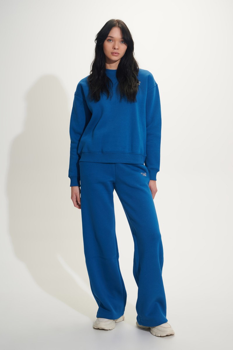 PRINTED COTTON OVERSIZED SWEATSHIRT-24832251-440