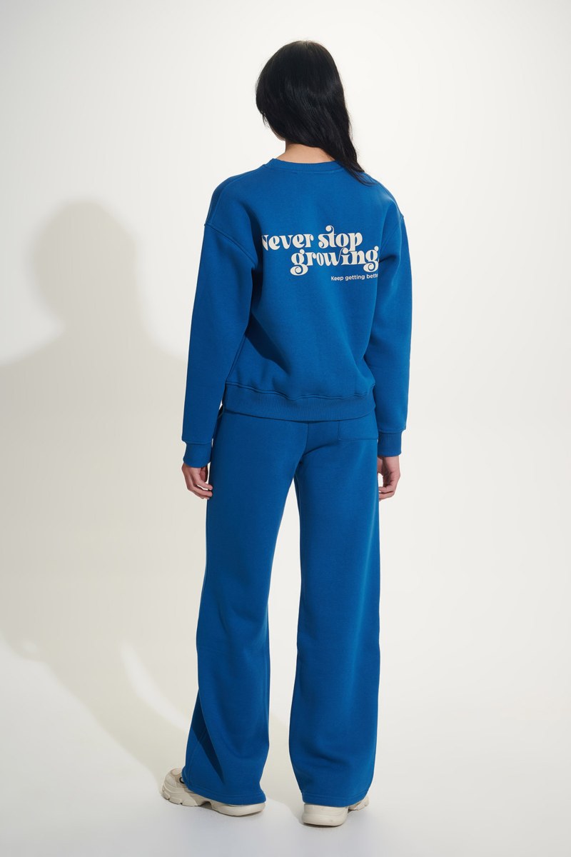 PRINTED COTTON OVERSIZED SWEATSHIRT-24832251-440