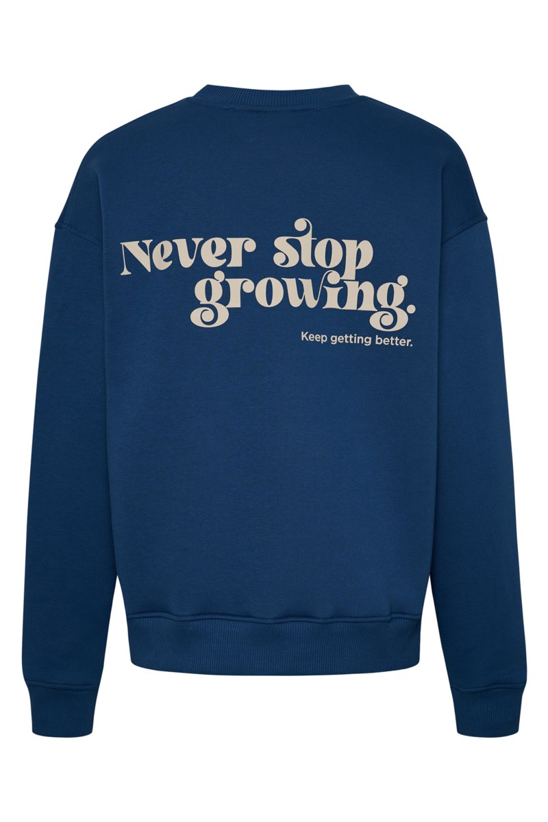 PRINTED COTTON OVERSIZED SWEATSHIRT-24832251-440