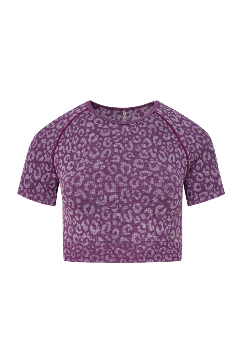 LEOPARD PRINTED SEAMLESS SPORTS CROPPED TOP-24862047-823