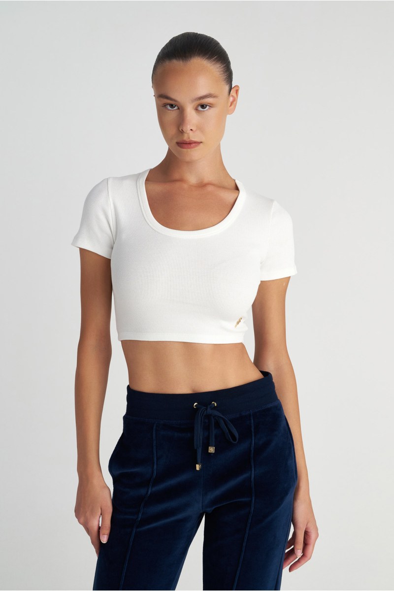 SHORT SLEEVED RIBBED COTTON CROPPED TOP-25812292-102
