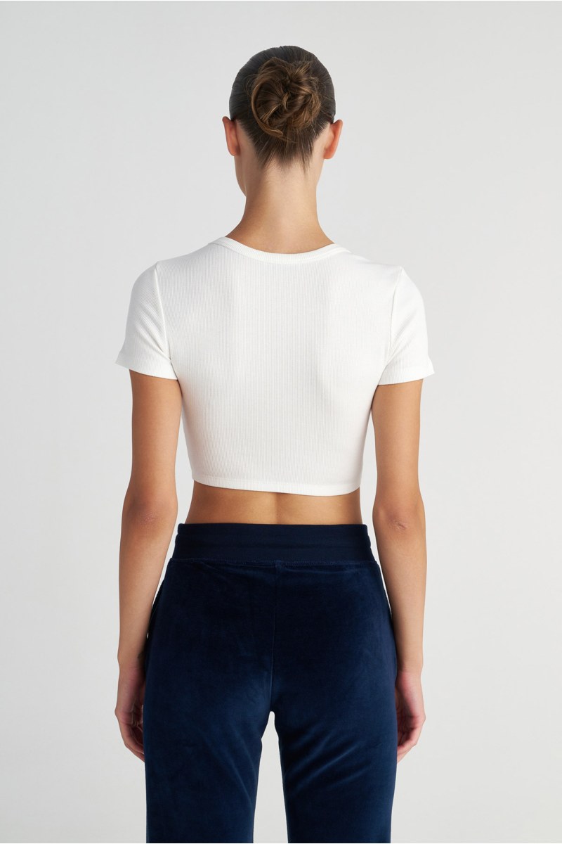 SHORT SLEEVED RIBBED COTTON CROPPED TOP-25812292-102