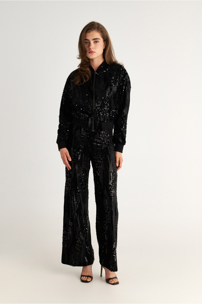 SEQUIN-EMBELLISHED HIGH WAISTED VELOUR FLARED PANTS-25831143-110
