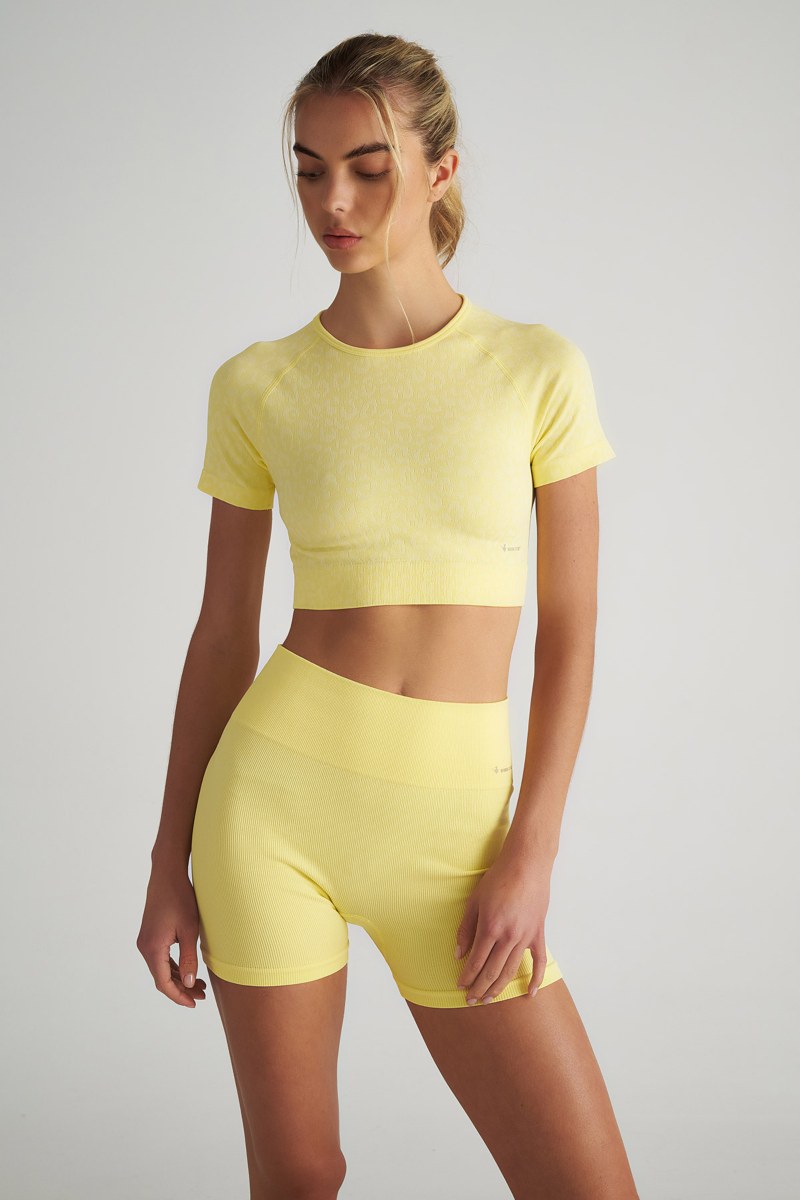 LEOPARD PRINTED SEAMLESS SPORTS CROPPED TOP-25848032-509