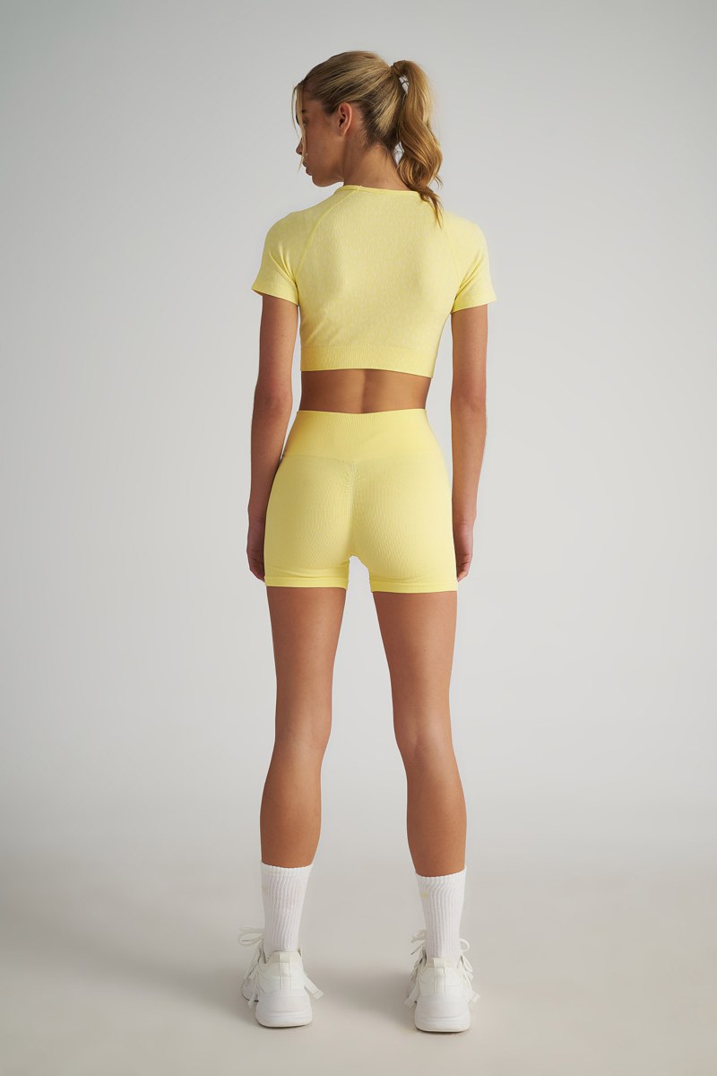 LEOPARD PRINTED SEAMLESS SPORTS CROPPED TOP-25848032-509