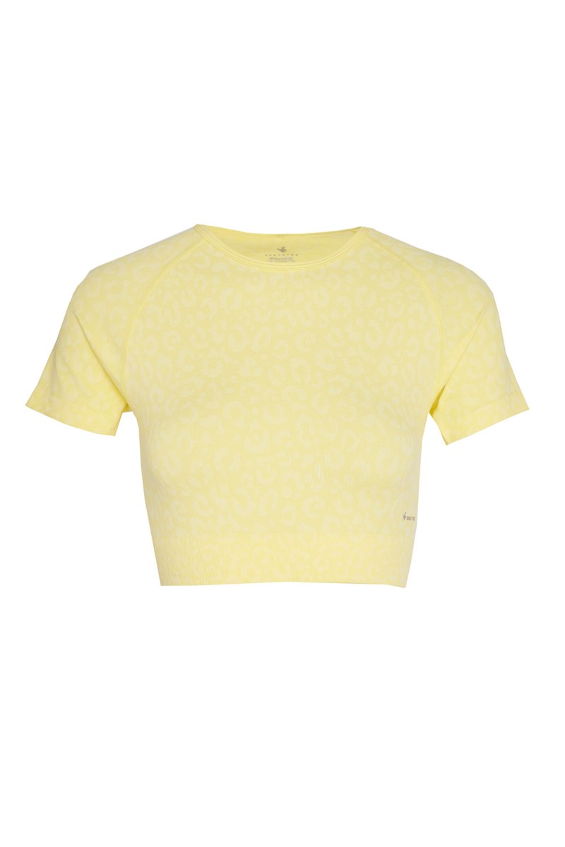 LEOPARD PRINTED SEAMLESS SPORTS CROPPED TOP-25848032-509