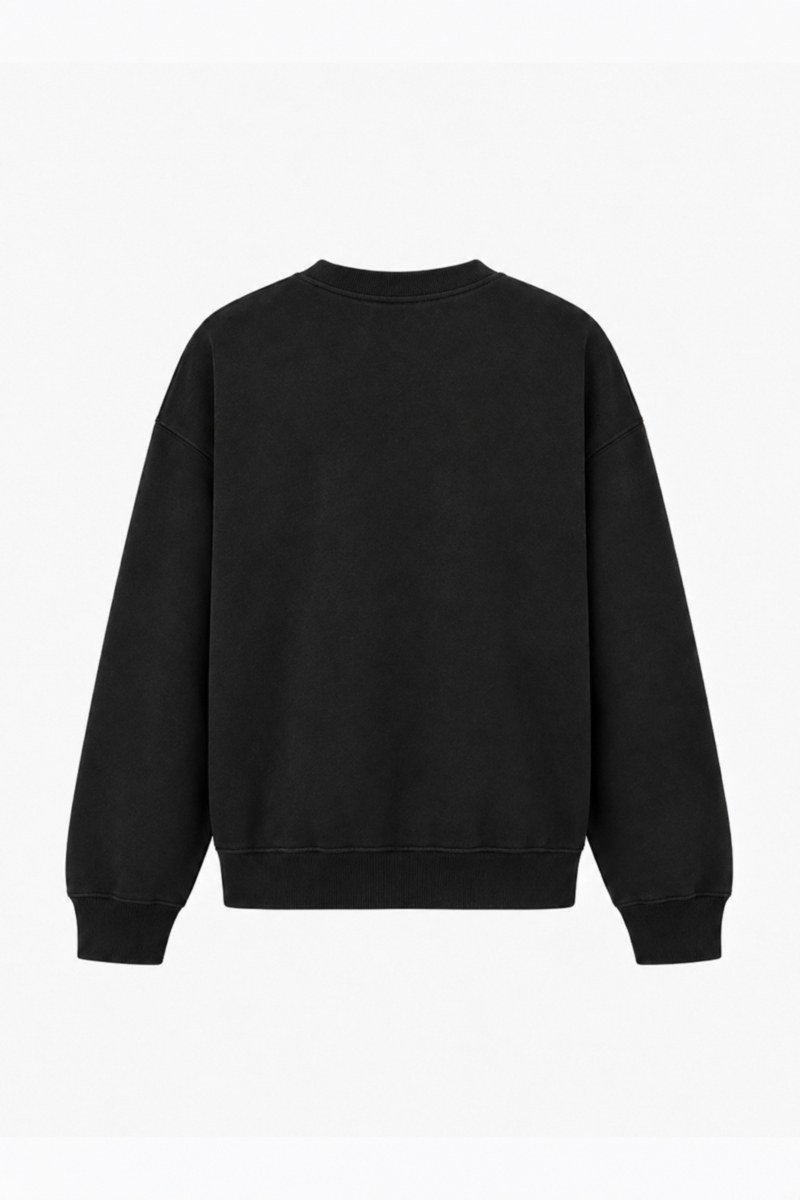 BASIC COTTON OVERSIZED SWEATSHIRT WITH INNER SOFT FLEECE FABRIC-26832029-110