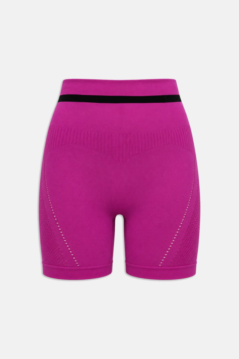 SEAMLESS HIGH WAISTED BIKER LEGGINGS WITH POINTELLE DETAIL-26840036-718
