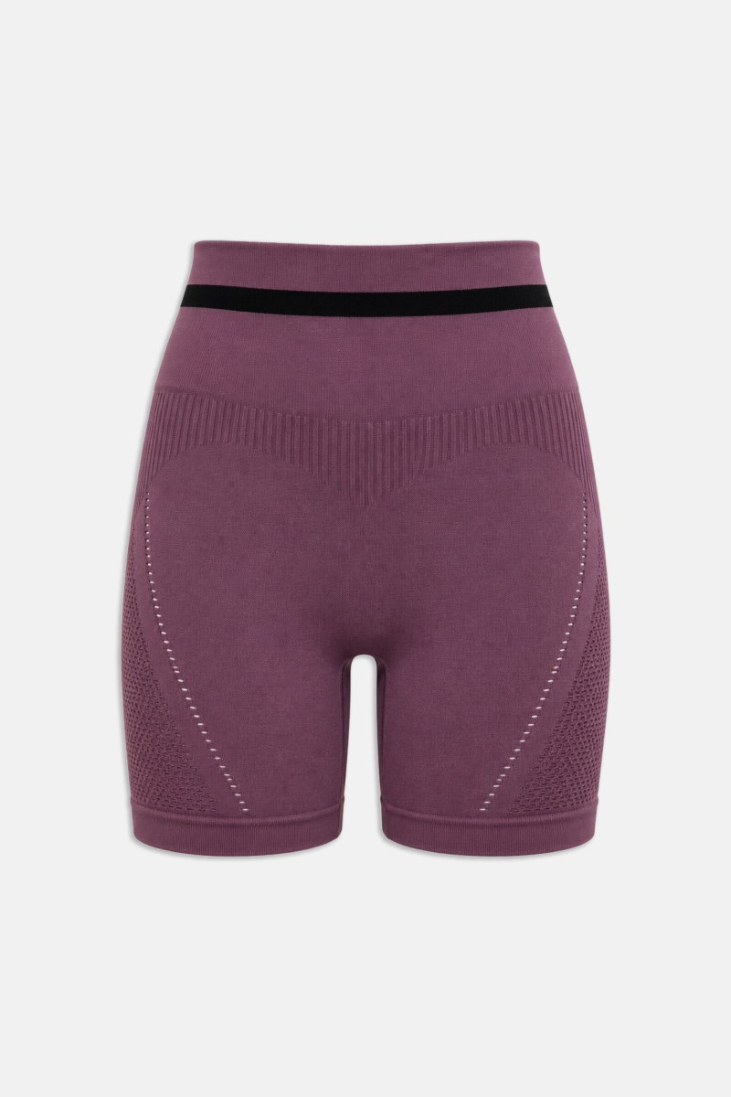 SEAMLESS HIGH WAISTED BIKER LEGGINGS WITH POINTELLE DETAIL-26840036-815