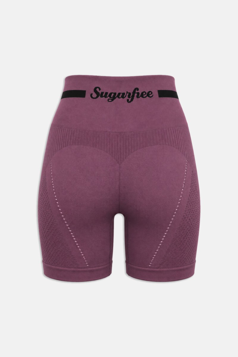 SEAMLESS HIGH WAISTED BIKER LEGGINGS WITH POINTELLE DETAIL-26840036-815