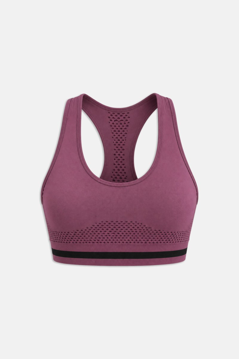 SEAMLESS SPORTS CROP TOP / SPORTS BRA WITH POINTELLE DETAIL-26848036-815