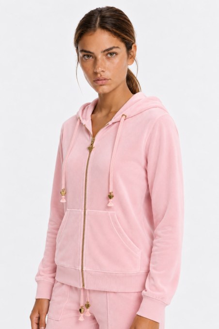 BASIC VELOUR HOODED JACKET-19833000BG-729